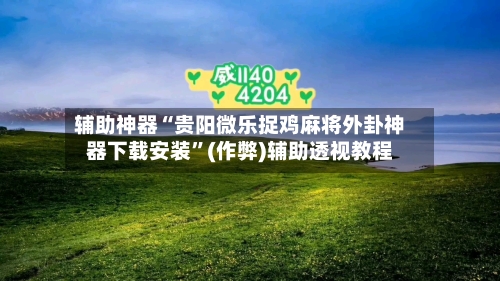 辅助神器“贵阳微乐捉鸡麻将外卦神器下载安装”(作弊)辅助透视教程