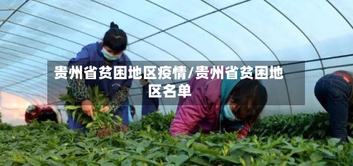 贵州省贫困地区疫情/贵州省贫困地区名单