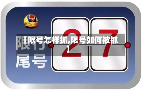 【限号怎样抓,限号如何被抓】