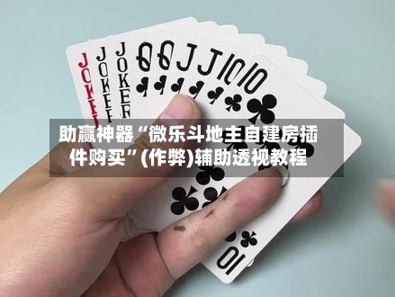 助赢神器“微乐斗地主自建房插件购买”(作弊)辅助透视教程