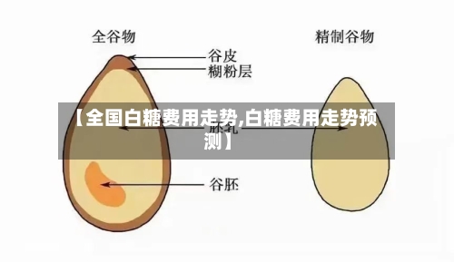 【全国白糖费用走势,白糖费用走势预测】