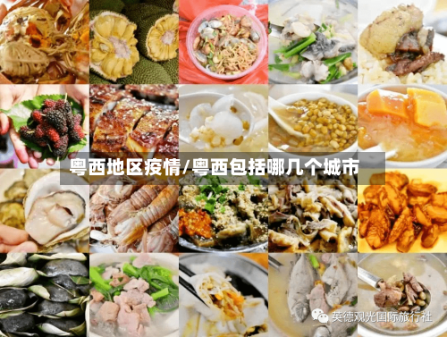 粤西地区疫情/粤西包括哪几个城市