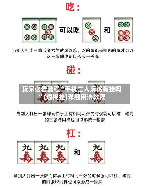玩家必看教程“手机二人麻将有挂吗”(透视挂)详细用法教程