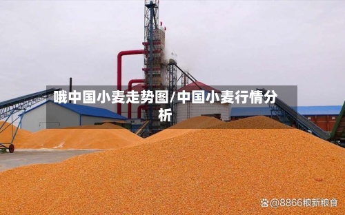 哦中国小麦走势图/中国小麦行情分析