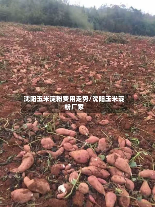 沈阳玉米淀粉费用走势/沈阳玉米淀粉厂家
