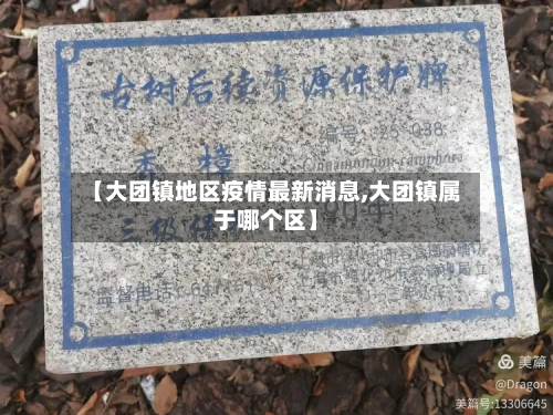 【大团镇地区疫情最新消息,大团镇属于哪个区】