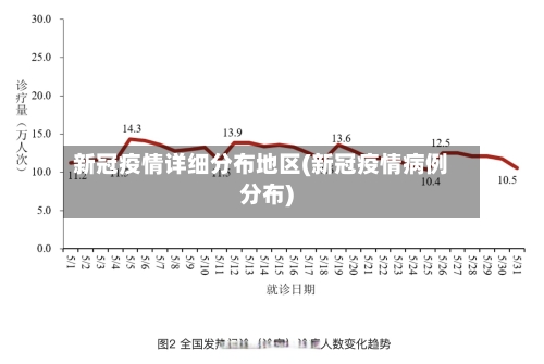 新冠疫情详细分布地区(新冠疫情病例分布)