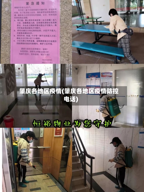 肇庆各地区疫情(肇庆各地区疫情防控电话)