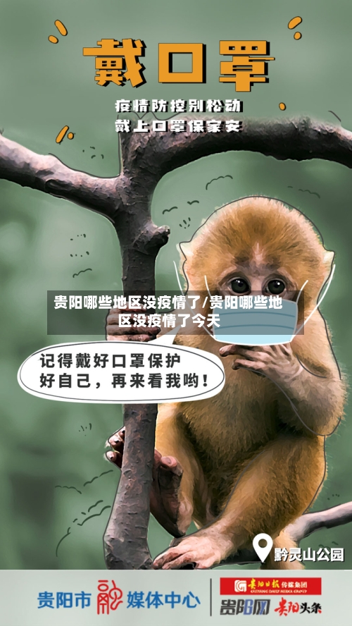 贵阳哪些地区没疫情了/贵阳哪些地区没疫情了今天