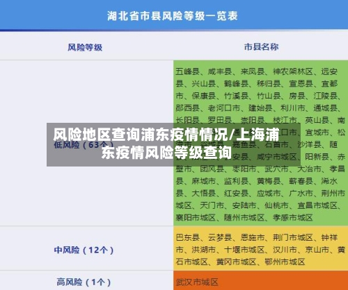 风险地区查询浦东疫情情况/上海浦东疫情风险等级查询
