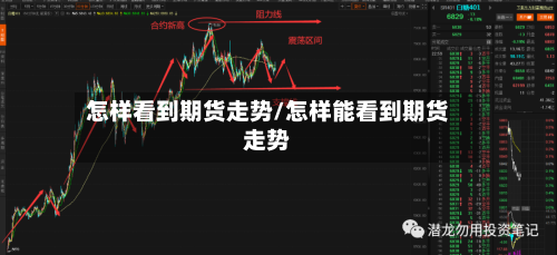 怎样看到期货走势/怎样能看到期货走势