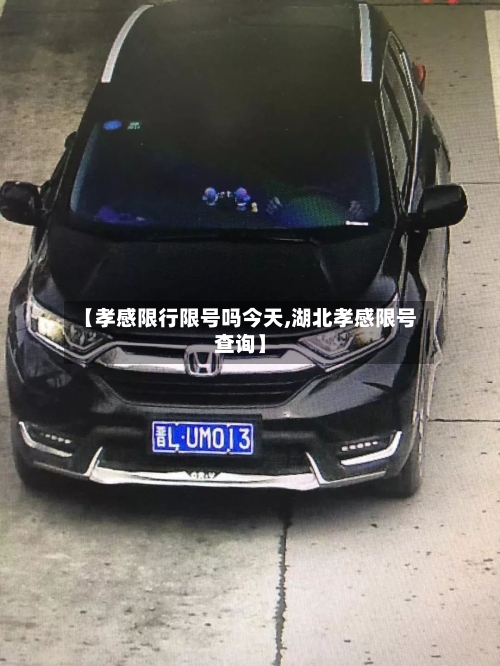 【孝感限行限号吗今天,湖北孝感限号查询】