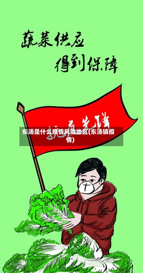 东汤是什么疫情风险地区(东汤镇疫情)