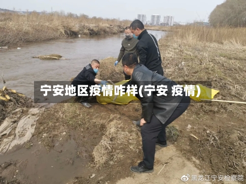 宁安地区疫情咋样(宁安 疫情)