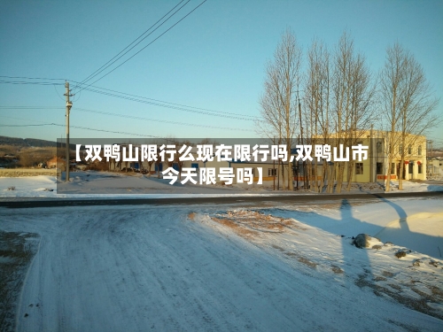 【双鸭山限行么现在限行吗,双鸭山市今天限号吗】