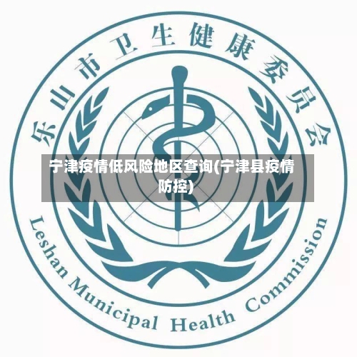 宁津疫情低风险地区查询(宁津县疫情防控)
