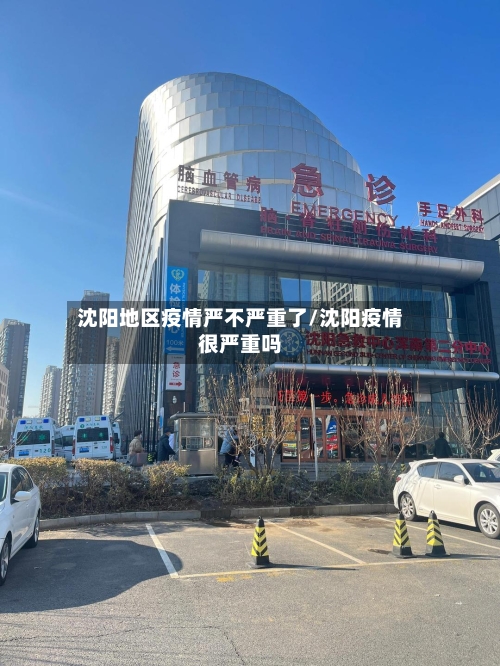 沈阳地区疫情严不严重了/沈阳疫情很严重吗