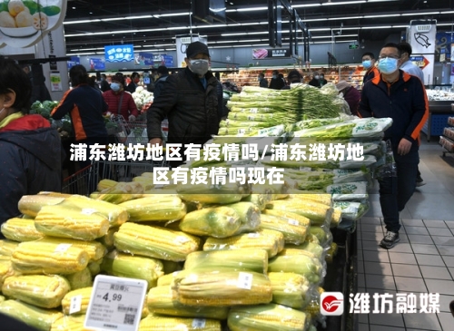 浦东潍坊地区有疫情吗/浦东潍坊地区有疫情吗现在