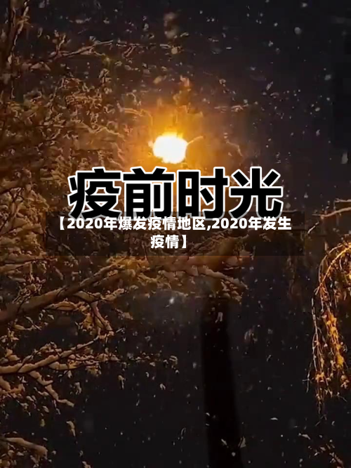 【2020年爆发疫情地区,2020年发生疫情】