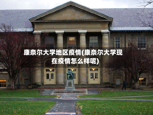 康奈尔大学地区疫情(康奈尔大学现在疫情怎么样呢)