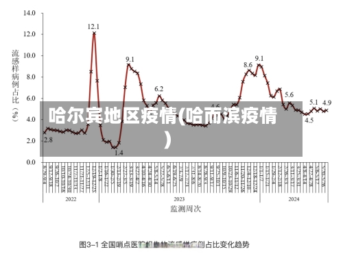 哈尔宾地区疫情(哈而滨疫情)