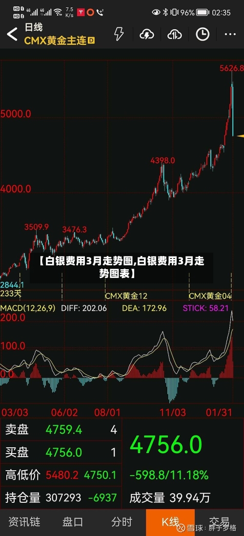 【白银费用3月走势图,白银费用3月走势图表】