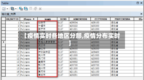 【疫情实时各地区分部,疫情分布实时】