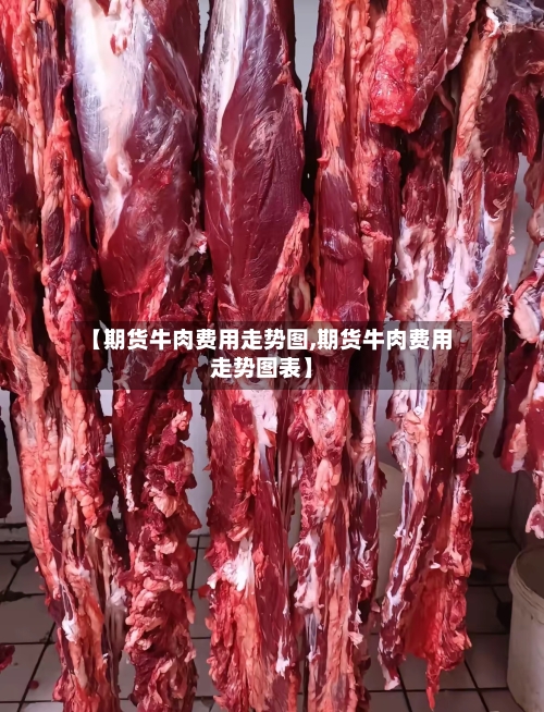 【期货牛肉费用走势图,期货牛肉费用走势图表】