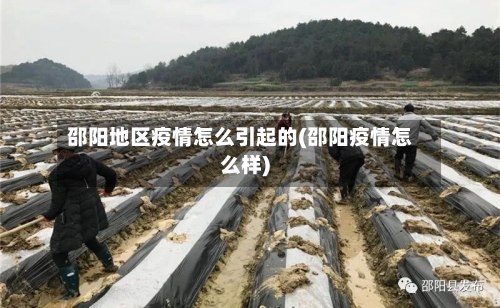 邵阳地区疫情怎么引起的(邵阳疫情怎么样)