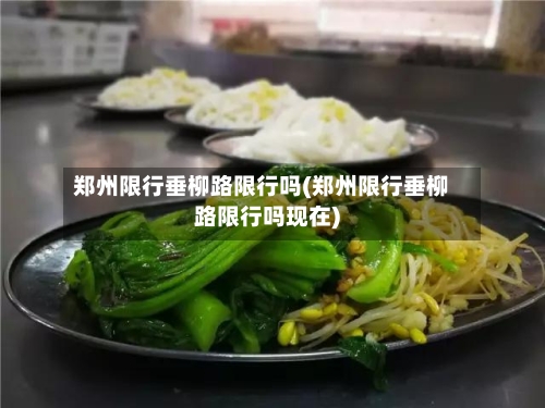 郑州限行垂柳路限行吗(郑州限行垂柳路限行吗现在)