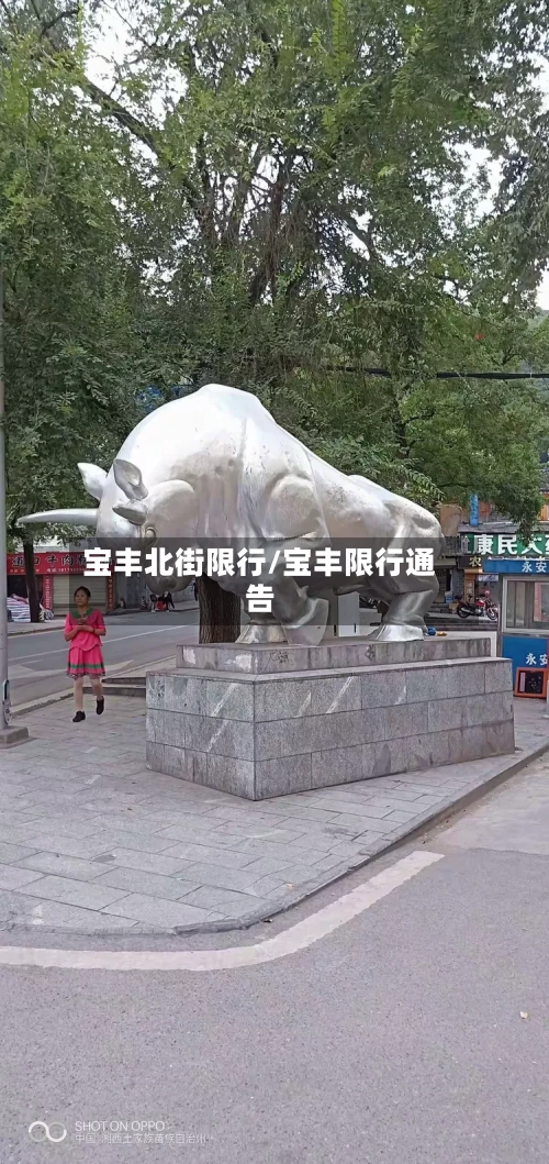 宝丰北街限行/宝丰限行通告-第1张图片
