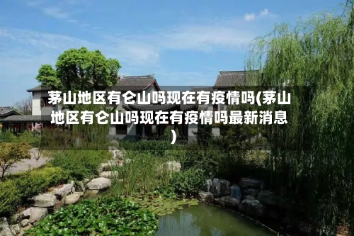 茅山地区有仑山吗现在有疫情吗(茅山地区有仑山吗现在有疫情吗最新消息)