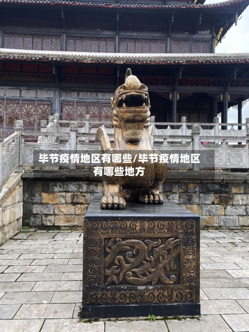 毕节疫情地区有哪些/毕节疫情地区有哪些地方