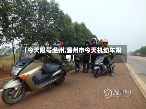 【今天限号温州,温州市今天机动车限号】