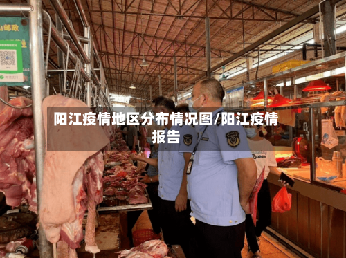 阳江疫情地区分布情况图/阳江疫情报告