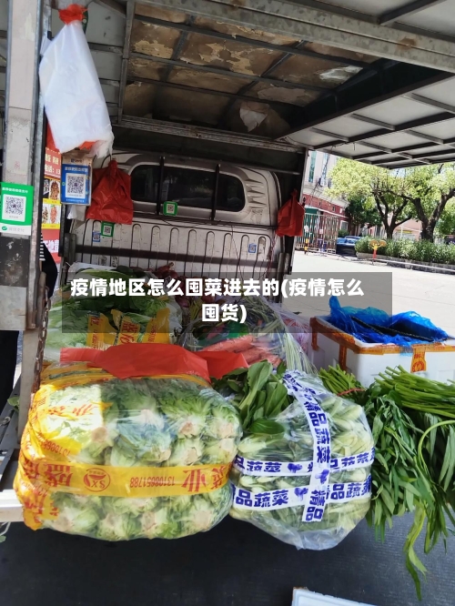 疫情地区怎么囤菜进去的(疫情怎么囤货)