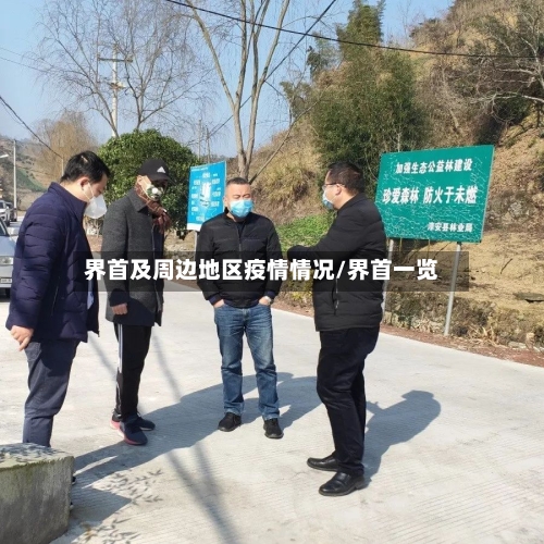 界首及周边地区疫情情况/界首一览