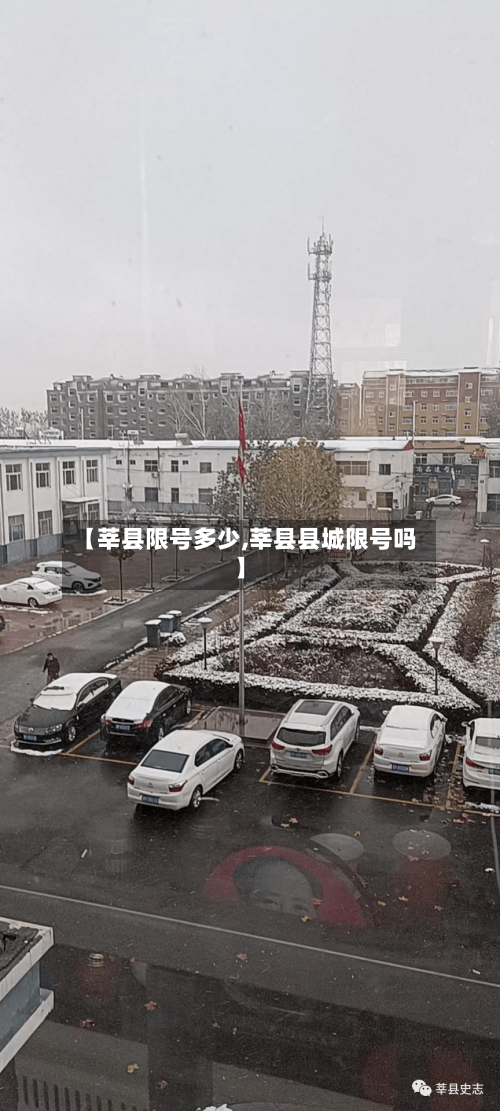 【莘县限号多少,莘县县城限号吗】