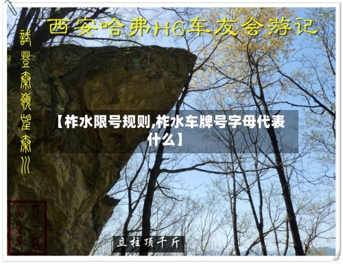 【柞水限号规则,柞水车牌号字母代表什么】