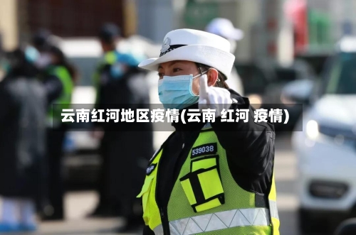云南红河地区疫情(云南 红河 疫情)