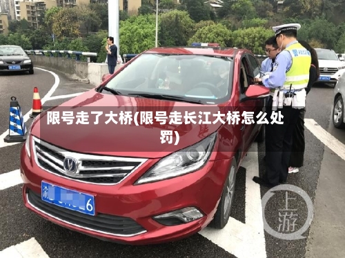 限号走了大桥(限号走长江大桥怎么处罚)