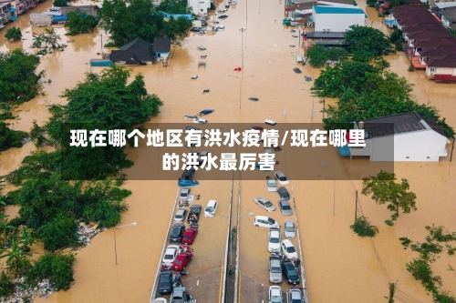 现在哪个地区有洪水疫情/现在哪里的洪水最厉害