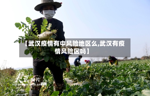 【武汉疫情有中风险地区么,武汉有疫情风险区吗】