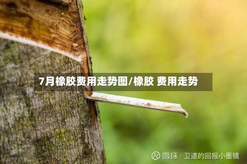 7月橡胶费用走势图/橡胶 费用走势