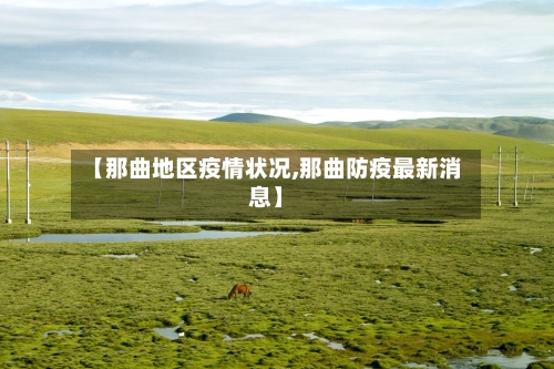 【那曲地区疫情状况,那曲防疫最新消息】