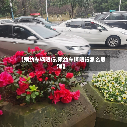 【预约车辆限行,预约车辆限行怎么取消】