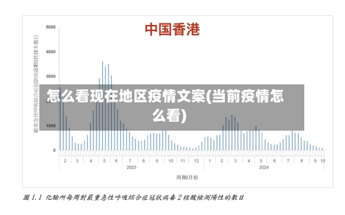 怎么看现在地区疫情文案(当前疫情怎么看)