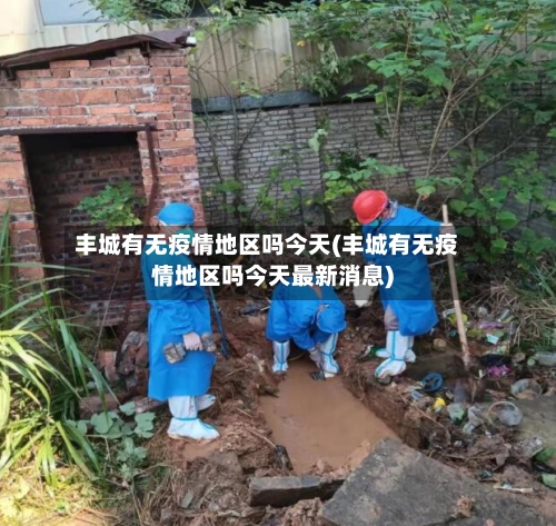 丰城有无疫情地区吗今天(丰城有无疫情地区吗今天最新消息)