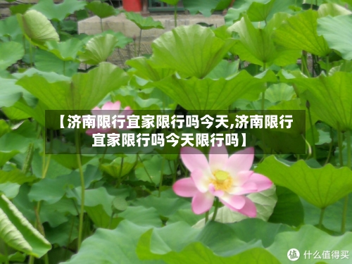 【济南限行宜家限行吗今天,济南限行宜家限行吗今天限行吗】