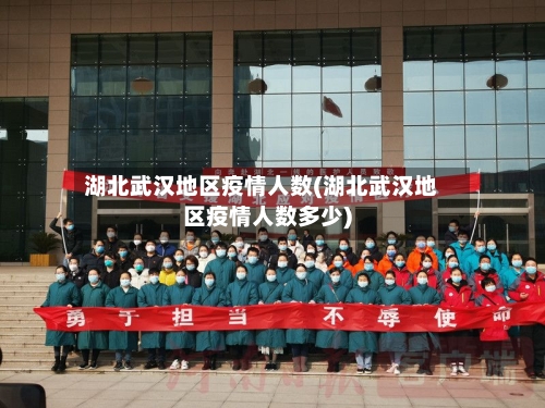 湖北武汉地区疫情人数(湖北武汉地区疫情人数多少)